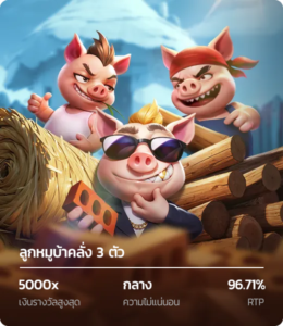 Three crazy piggies naza79